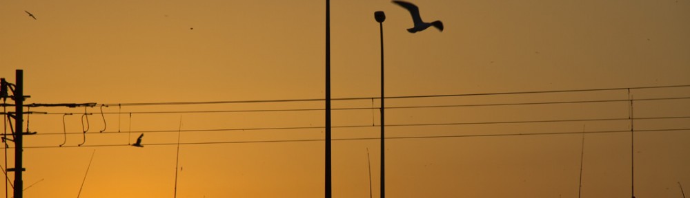 Istanbul 10.05.07 97 km