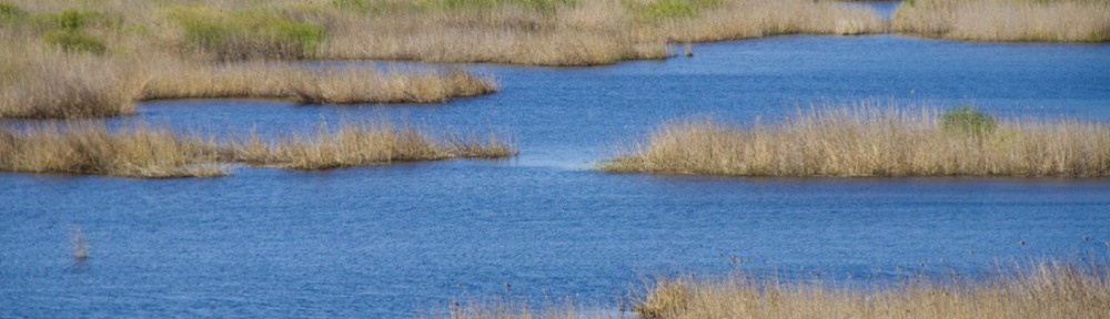 Silistra 2010.04.27 62 km