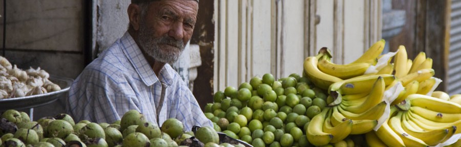 Shiraz, Persepolis, 2010.08.24