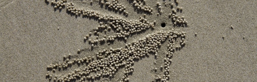 Port Dickson, 2010.11.20