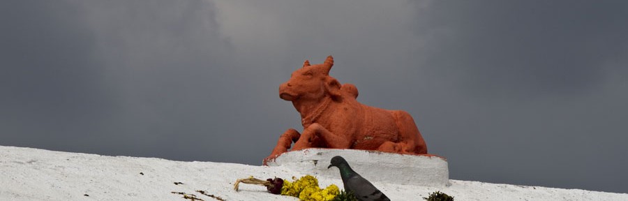 Trivandrum, 2010.11.25