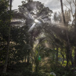 Somewhere in Camiguin - a little magic moment