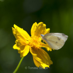 Inside Huaguoshan Park