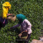 Inside Huaguoshan Park