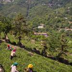 Inside Huaguoshan Park