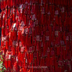 Inside Huaguoshan Park