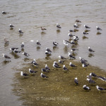 Stuff you see on the way