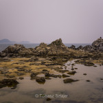 Landscapes on the way