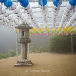 Near Seokguram grotto