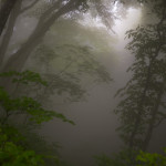 Mysty road to Seokguram grotto