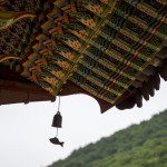 Fish guardian in Beomeosa (the fish never closes the eyes)