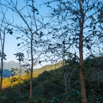 Walking along River Ou