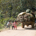 Villages near Nong Khiaw