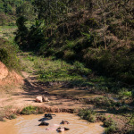 Somewhere on the way