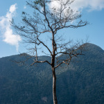 Walking along River Ou