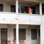 Royal Palace, Luang Prabang