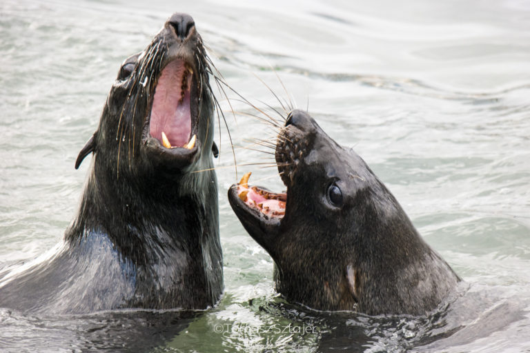 2018.05 South Africa