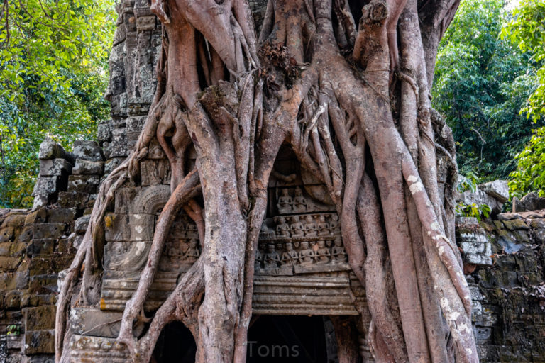 2020.01-03 Southeast Asia