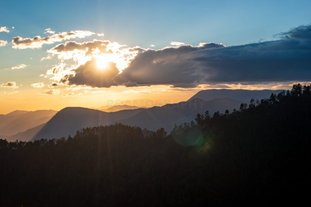 This image has an empty alt attribute; its file name is SAM1936-1024x683.jpg